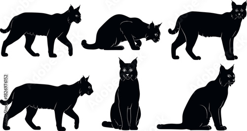 Black cat silhouette set featuring various feline poses, walking, sitting, crouching, alert stance, animal behavior, vector illustration collection.