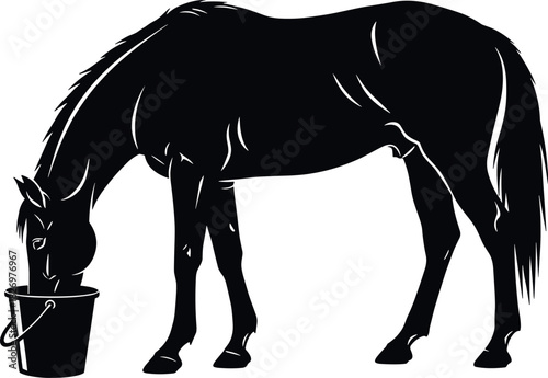 Silhouette horse drinking water from bucket in side profile, peaceful farm animal moment, black and white vector illustration