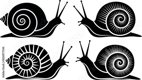 Stylized black and white snail illustrations with unique spiral shell patterns