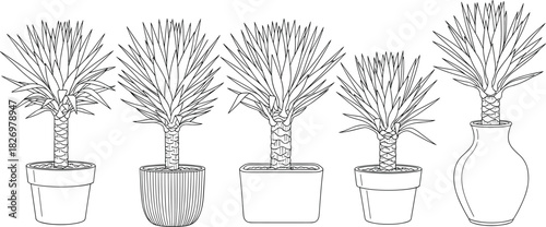 Set of five potted Yucca or Dracaena palm trees, black and white line art illustration for coloring book pages.