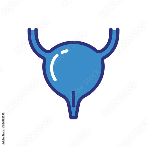 Human Urinary Bladder Vector Anatomy Illustration