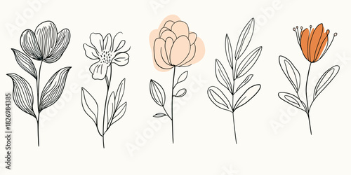 Minimalist hand drawn floral line art with simple black outline and soft pastel peach and orange color accents on individual flower and leaf elements vector illustration