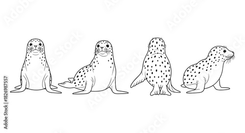 Seal pose variations in outline style: front, side, and rear views