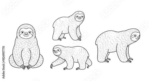 Hand drawn sloth set: cute and playful black and white animal illustrations
