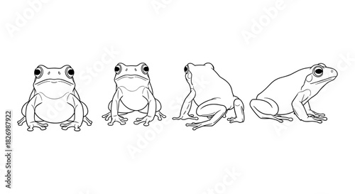 Frog outline in four poses: simple black line drawings