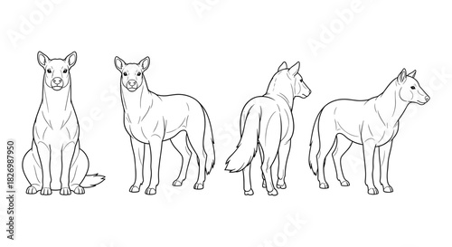 Dingo line art set: front, side, and rear views in black and white