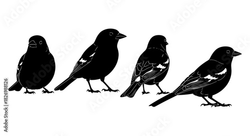 Black silhouette sparrows in various poses on white background