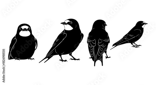 Silhouette bird collection: swallows in four classic poses for ornithology art