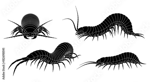 Silhouette centipede and millipede set in detailed side and top views