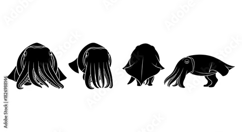 Cuttlefish silhouette collection featuring marine cephalopods in various poses