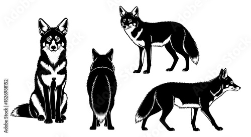 Four black and white fox silhouettes showcasing different poses and angles