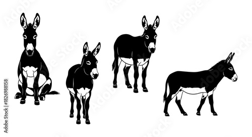 Set of four black and white donkey silhouettes in various poses on white background