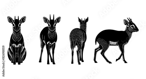 Black and white animal silhouette: antelope from front, side, and back views