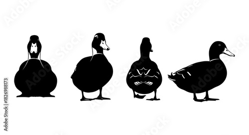Duck silhouettes: four poses of birds in black and white art