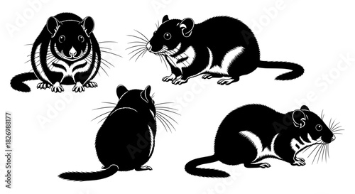 Stylized silhouette collection of dormice in various poses on white background