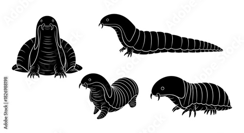 Black silhouette of stylized crawling creature collection on white background