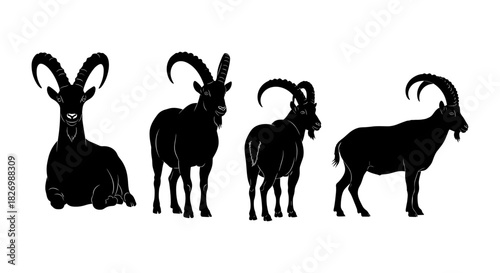 Black silhouettes of mountain goats in various poses on white background