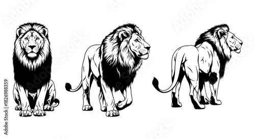 Lion silhouette set: regal wildlife in majestic poses