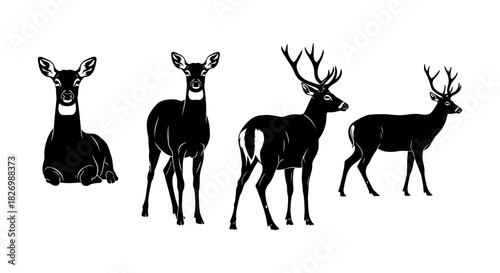 Silhouette deer collection: diverse poses and elegant designs