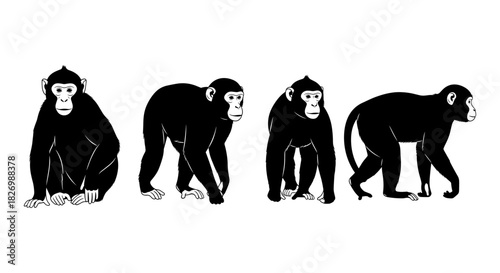 Silhouette of monkeys in various poses on white background