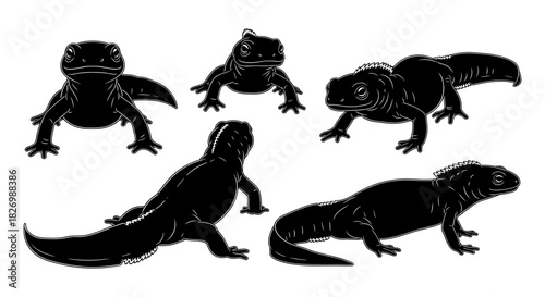 Silhouette reptile set: diverse gecko and lizard poses for design