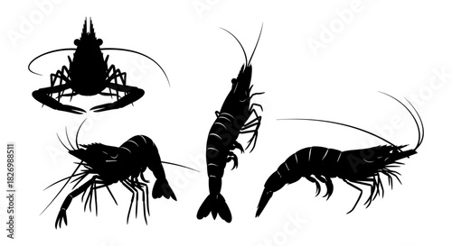 Silhouette shrimp collection: black vector designs on white background