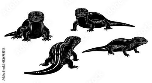 Silhouette of lizard reptiles in various poses on white background