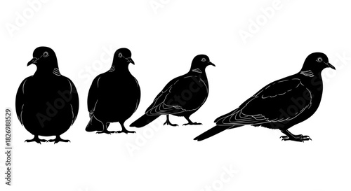 Silhouette pigeons set in different poses on white background