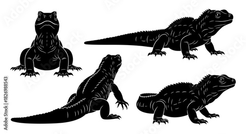 Silhouette reptile designs: detailed lizard set in black and white