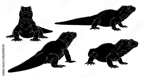 Silhouette reptiles: black and white iguana set