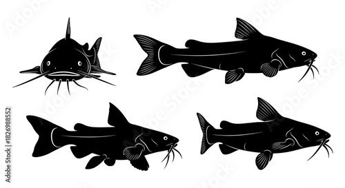 Catfish silhouette set: aquatic wildlife in black and white illustrations
