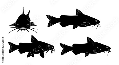 Silhouette catfish set: detailed aquatic animal illustrations in black