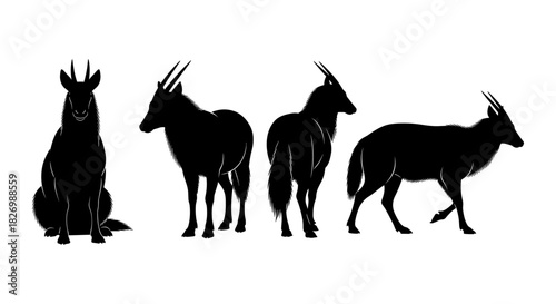 Fantasy animal silhouettes: mythical creatures in bold black outline