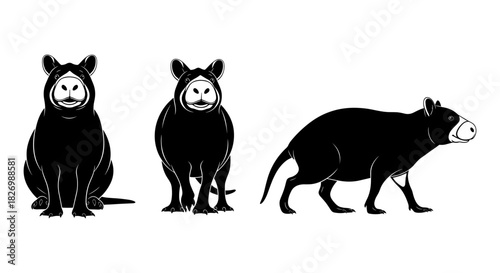 Tapir silhouette set: three distinct poses in bold black design on white background
