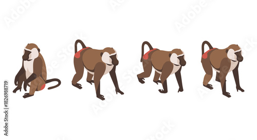 Set of four flat style baboons in various poses on white background