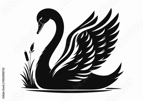 Swan bird, black and white vector silhouette