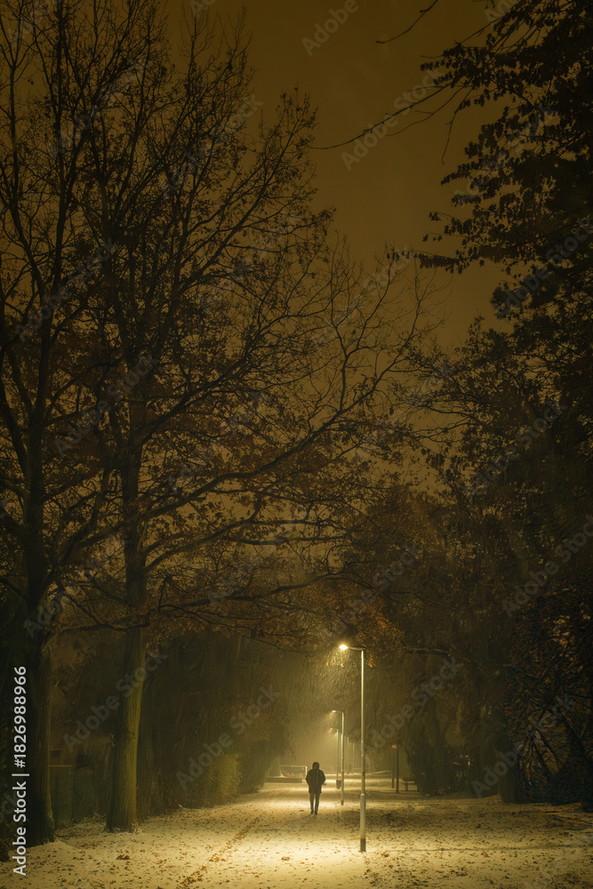 Fototapeta premium A back view of a person strolling through a park on a wintry night