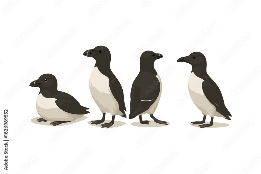 Obraz premium Colorful puffins in different poses on white background