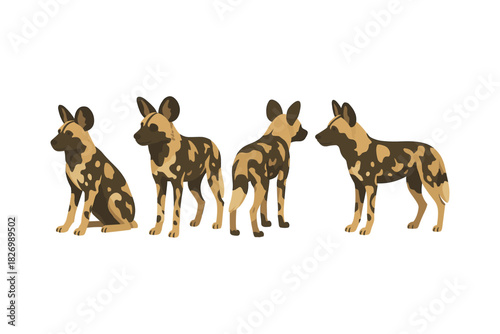 African wild dogs in flat design style showing different poses on white background