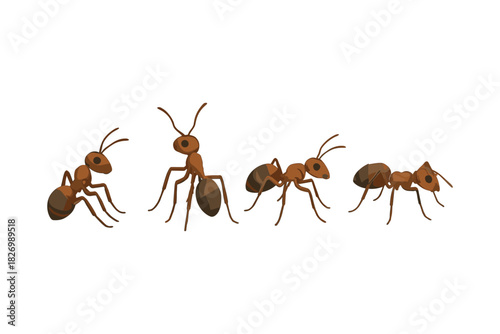 Set of brown ants in flat style on white background