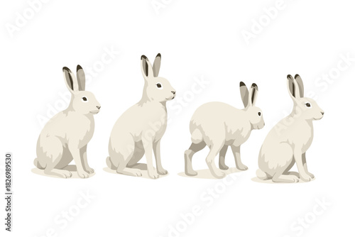 Snow hare in various poses: realistic wildlife art for nature lovers