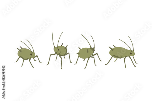 Four aphids on a white background: cartoon green insects with antennae