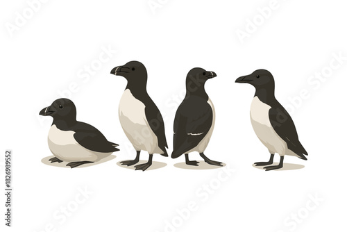 Colorful puffins in different poses on white background