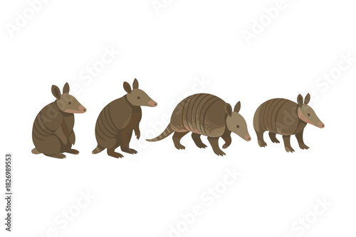 Flat armadillo design set showcasing various poses in isolated style