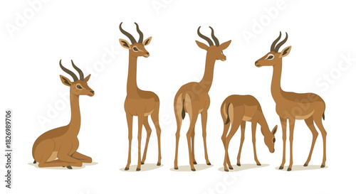 Elegant antelope in various poses with long horns and soft brown fur