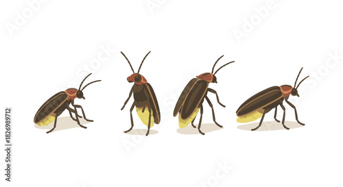 Realistic firefly animation with different poses on white background