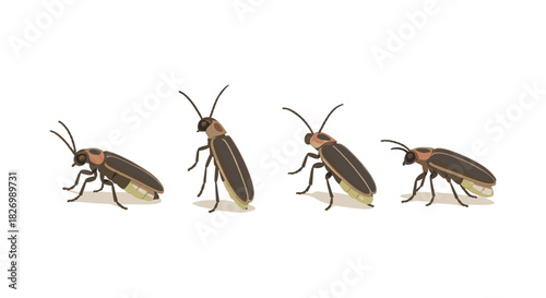 Realistic firefly illustrations in various poses on white background