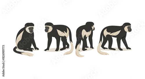 Four capuchin monkeys in minimalist art style on white background