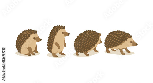 Adorable hedgehogs in simple walking progression on white background