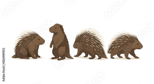 Porcupine side and front view in smooth style illustration